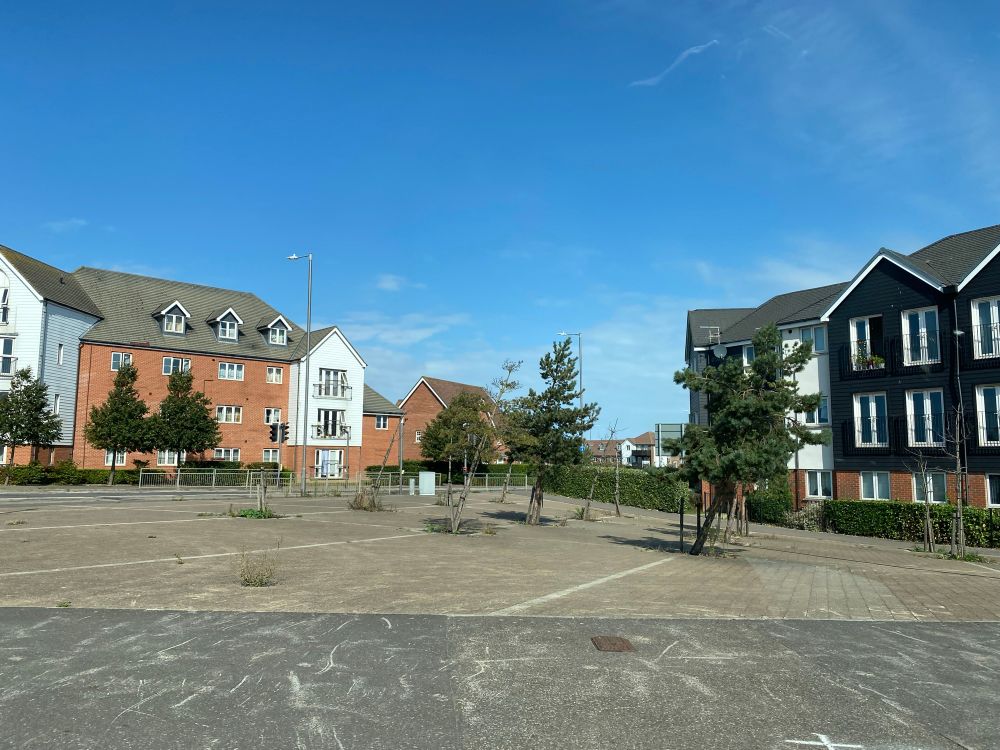 Area of landscaping, trees set in concrete, either dead or at a 45 degree angle. Windswept effect 