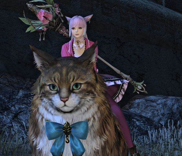 A screenshot from Final Fantasy XIV of a pink-haired cat-girl riding on a shaggy-haired brown cat with a blue bow. 