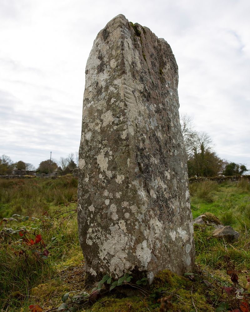 A pillar of stone atop a moss covered mound, the stone is deeply grooved with ogham script.