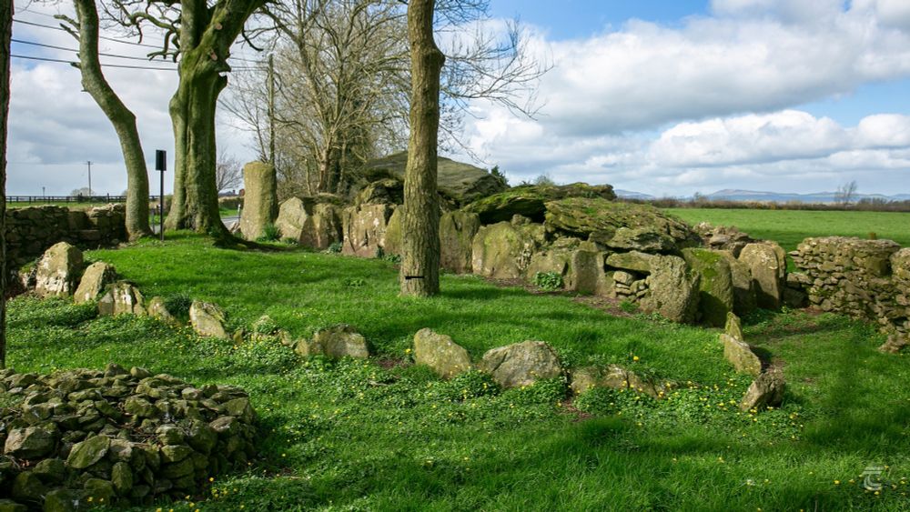 Labbacallee Wedge Tomb under old trees in North Cork