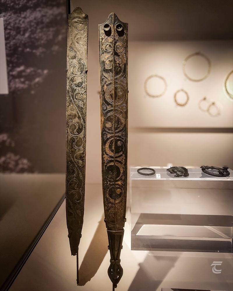 Two Bronze scabbard plates on display in the Ulster Museum. The plates are delicately decorated in the La Tène style, with incised symmetrical curvilinear decoration