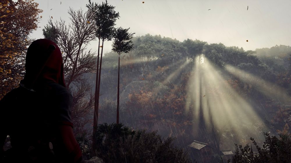 Naoe silhouette in a moody autumn forest with sunlight shards piercing through trees
