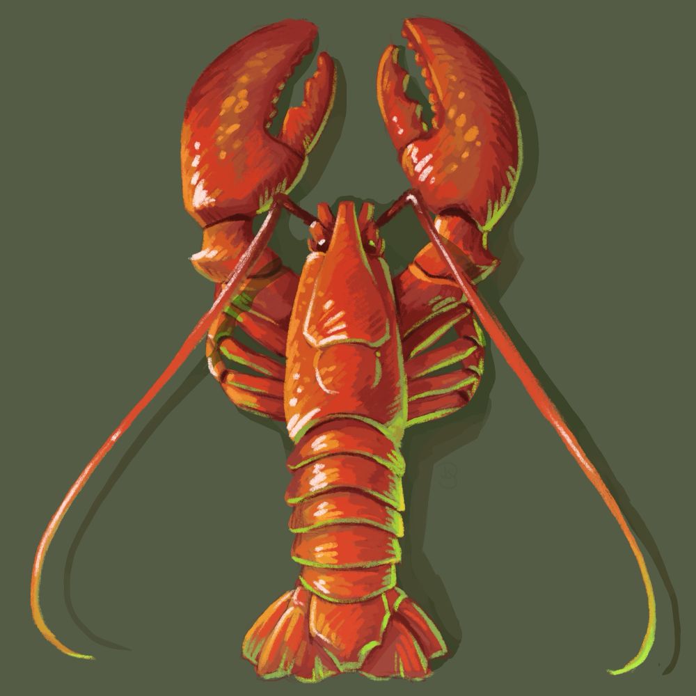 A top down view of a digitally painted lobster that has green lighting.