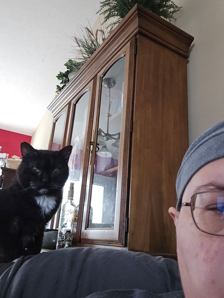 Tuxedo cat sitting behind woman 