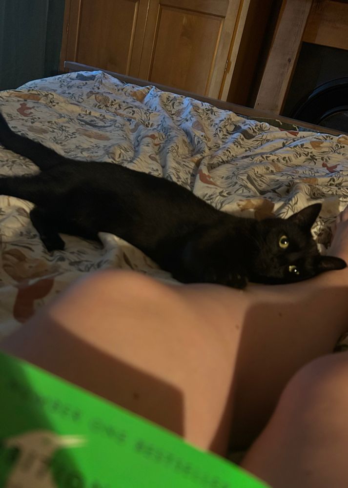 Cropped the dogs out because y'all aren't getting uncensored feet pics for free 