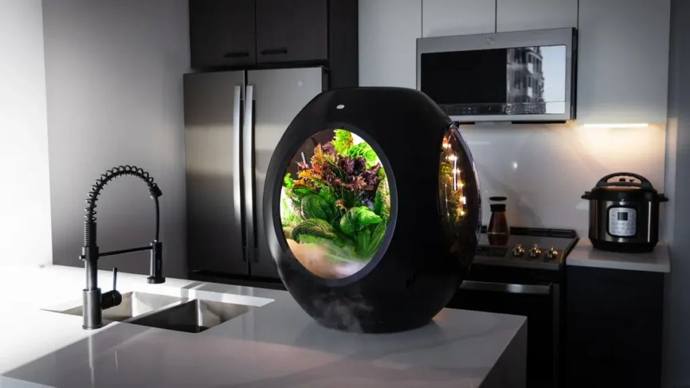 Innovative smart indoor garden for kitchen