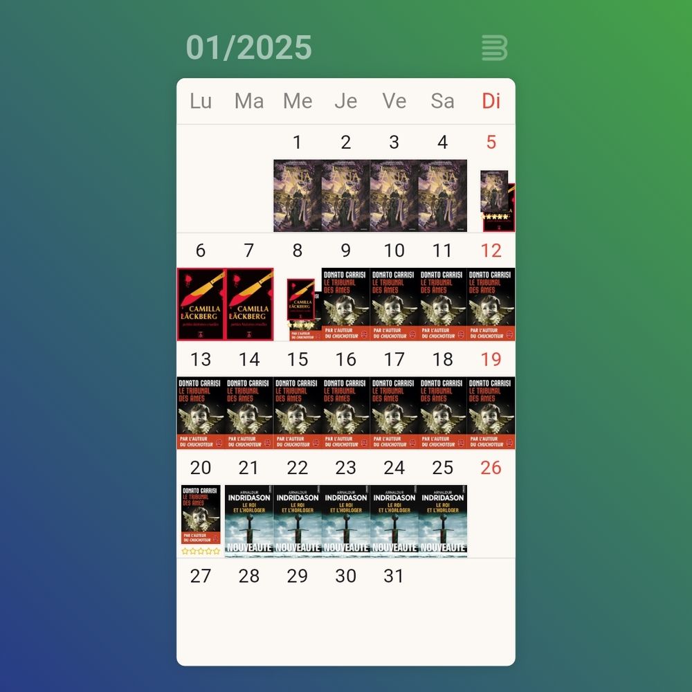 Capture d'écran de Bookmory avec mon calendrier de lecture du mois de janvier 2025