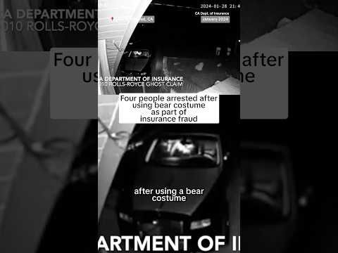 Four people arrested after using bear costume as part of insurance fraud