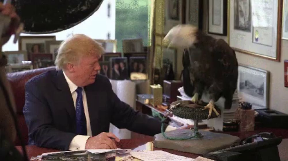 donald trump sits at a desk with a stuffed bald eagle on top of it