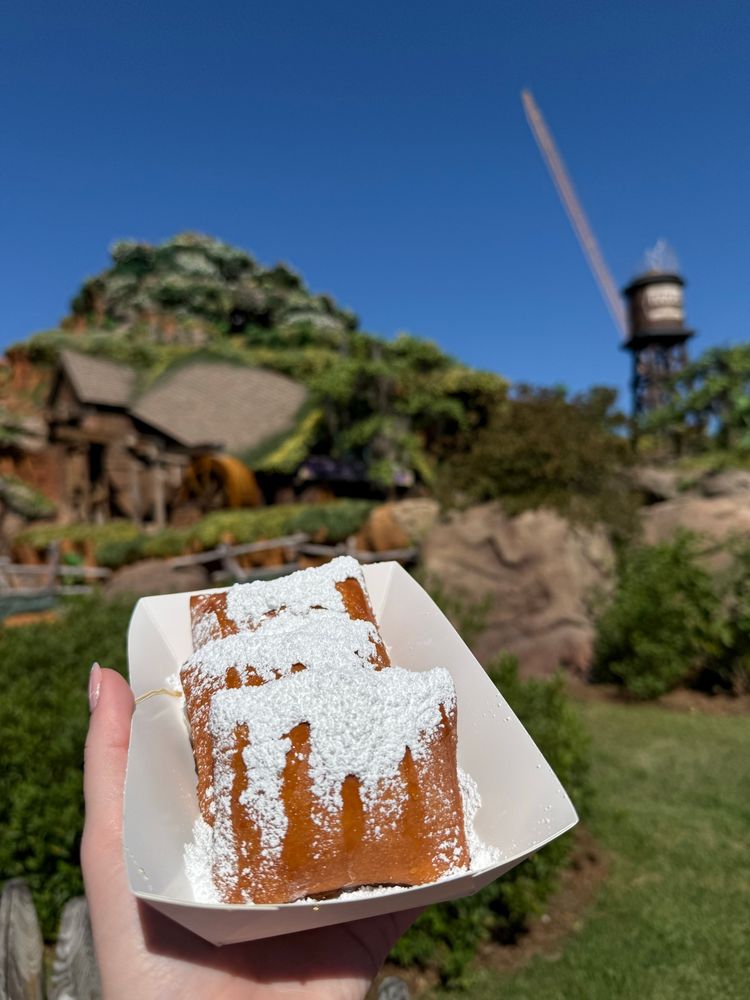 Beignets in front of Tiana’s bayou adventure. 