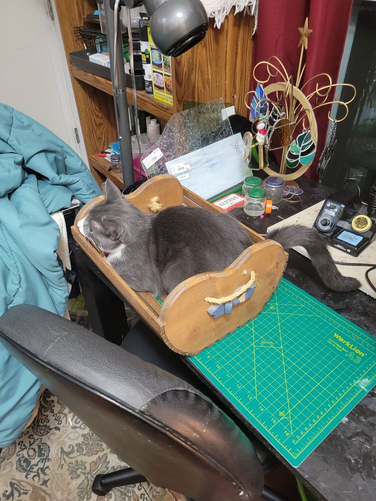 my cat (grey) politely loafing in a heard shaped basket. his tail is sticking out in a funny way