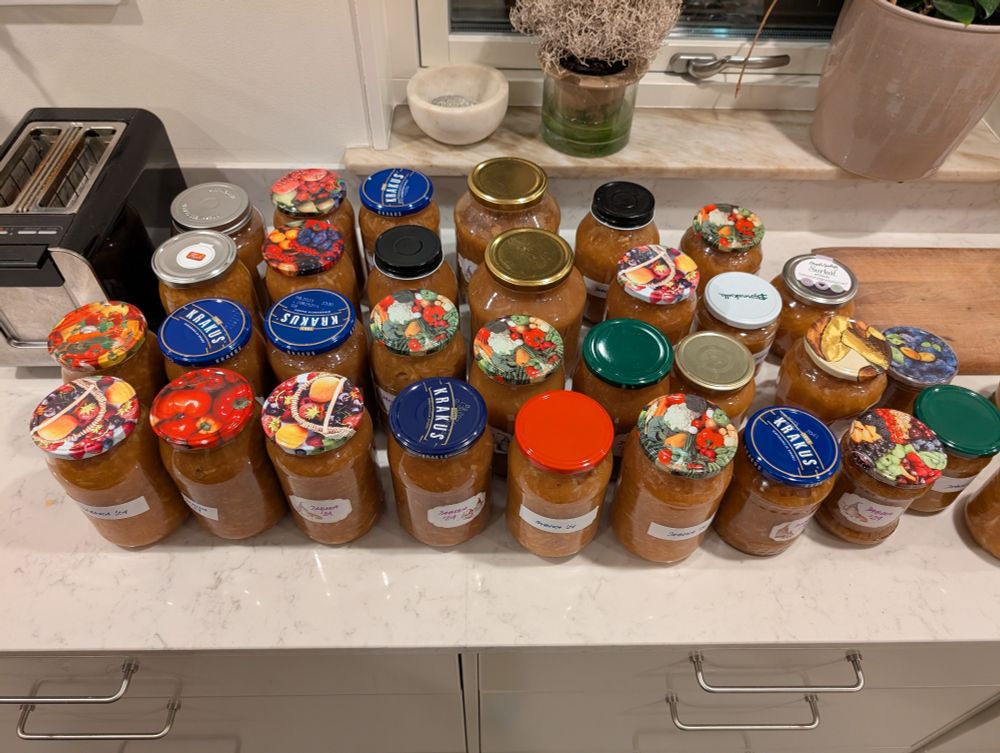 Rows and rows of jars with apple jam standing on a kitchen counter.