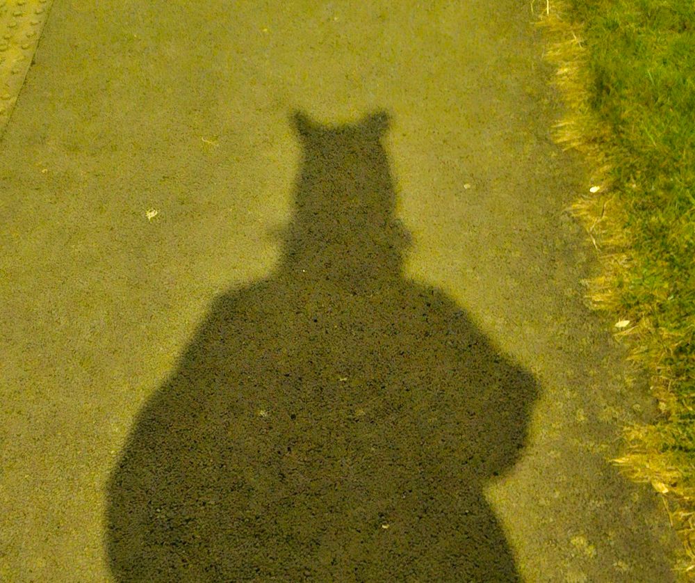 Photo of my shadow projected on the pavement/sidewalk

Shadow got cute af ears :3