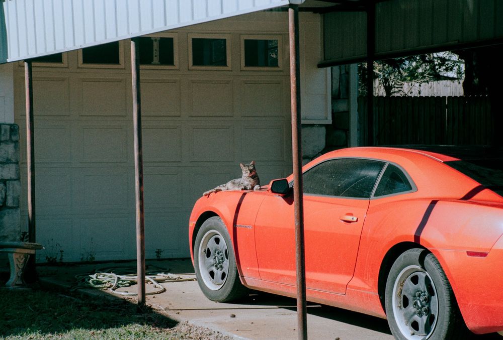 A cat rests on the hood of a red camaro in rural Oklahoma.