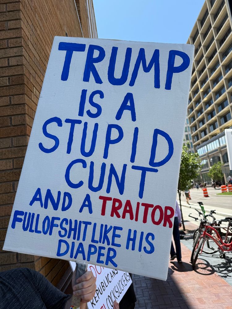 No kings protest sign that reads “Trump is a stupid cunt and a traitor - full of shit like his diaper”