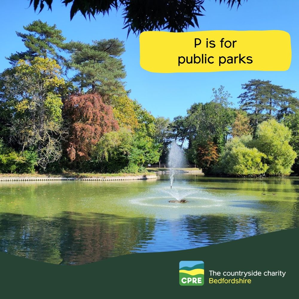 Graphic with P is for public parks highlighted above an image of an ornamental lake and fountain.