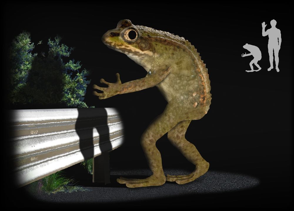 Photo of the Loveland Frogman with a small size comparison of the frogman and a human in the upper right corner. The Frogman comes up to an adult man's elbow 