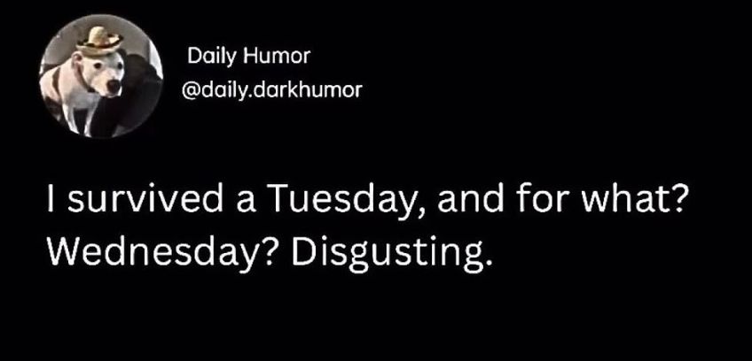 A humorous tweet from the account "Daily Humor (@daily.darkhumor)" with a profile picture of a dog wearing a hat. The tweet reads: "I survived a Tuesday, and for what? Wednesday? Disgusting."
