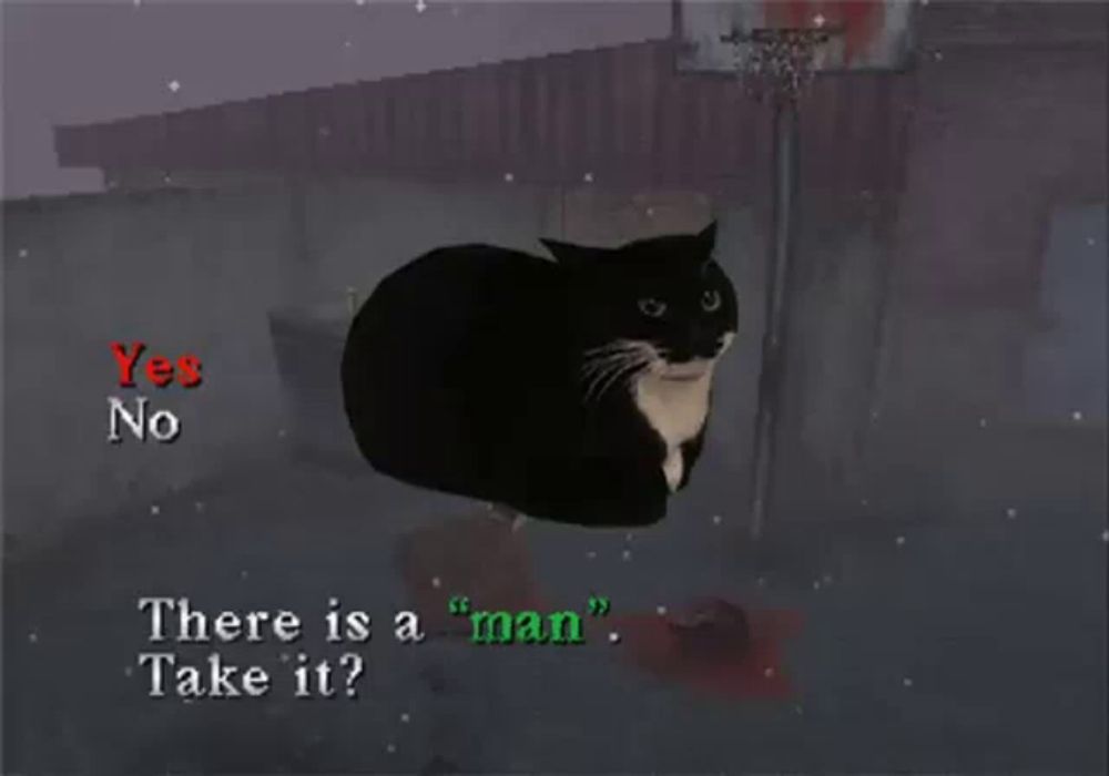 a black cat is being asked if there is a " man " take it