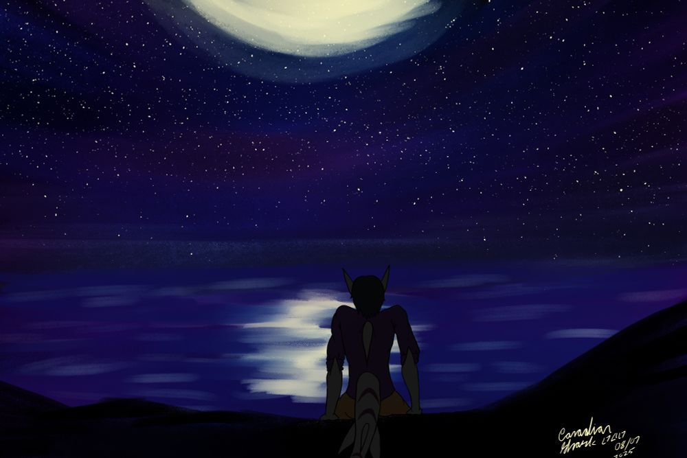 A lone shark sitting under a starry night overlooking water. The shark stares out, wondering if someone else is doing the same thing alone as well. 