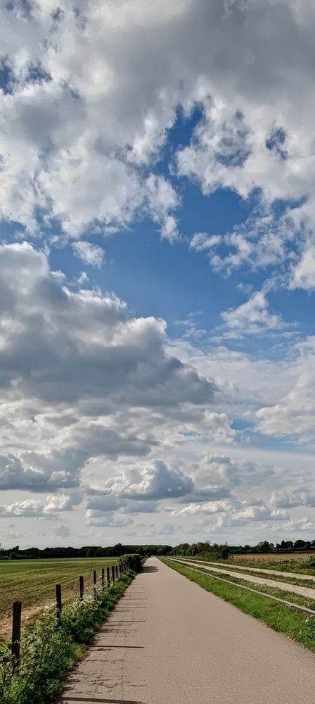 Guided bus way in Cambridge, with white clouds on a bright day