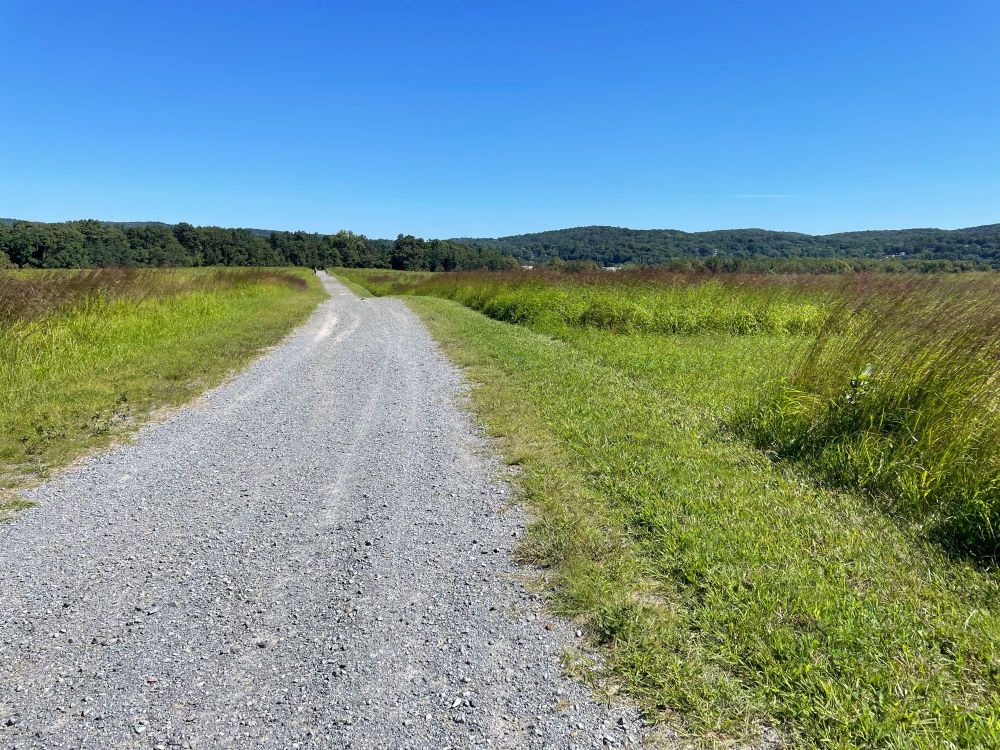 View of a landscape with a gravel path through it, surrounded by grass and green hills in the distance