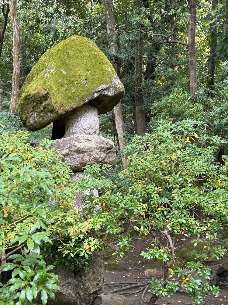A stone lantern covered in moss among green leaves 