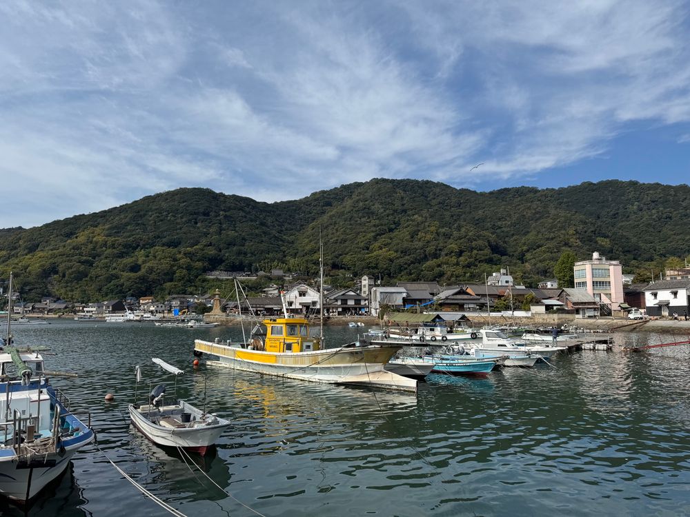 Small boats in a harbour, a yellow one casts pretty reflections on the water
