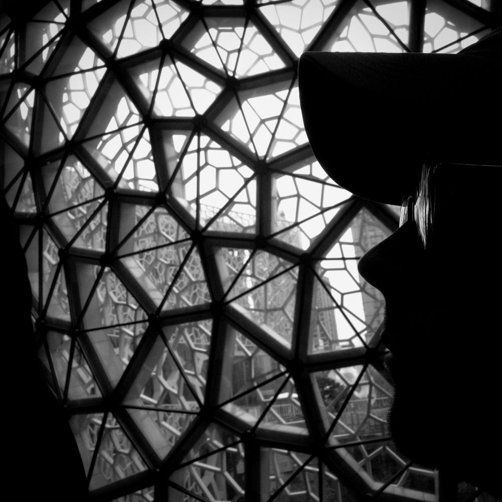 Silhouette of a man’s face with glasses emerging from the right of frame amidst a backdrop of honeycomb-like architecture. 