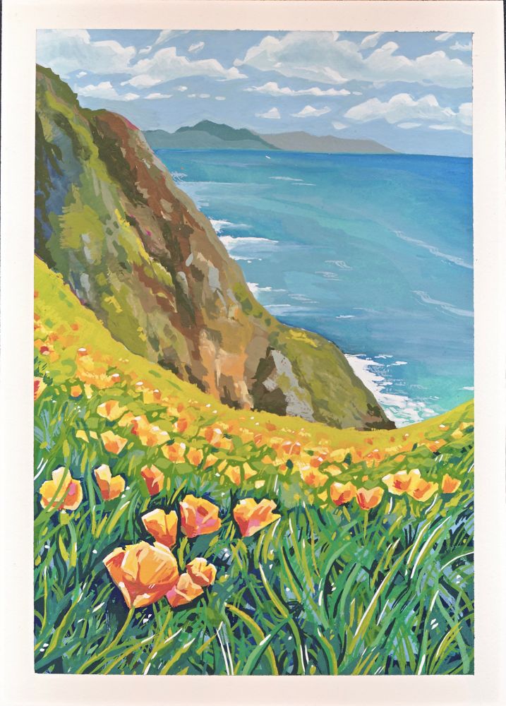 Orange poppies on the Sonoma coast of California 