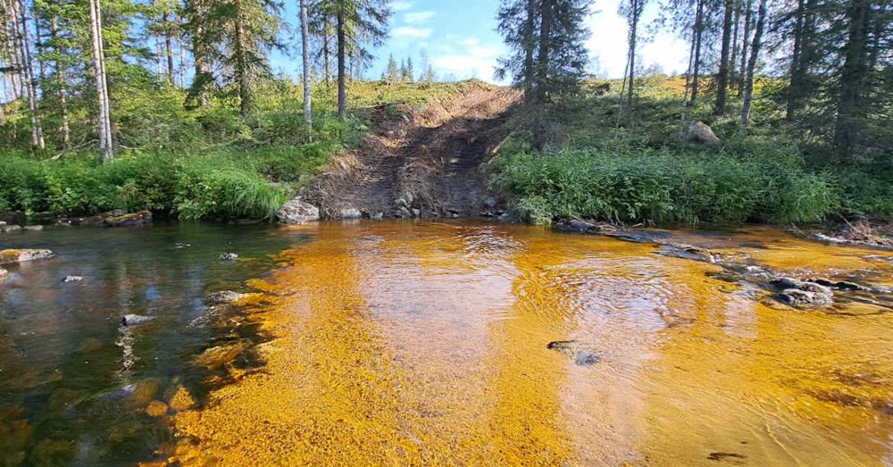 Metsätyökoneet ylittivät Suomussalmen raakkujoen jopa 400 kertaa, arvioi Metsähallitus – Stora Enso: joen yli on menty useasti