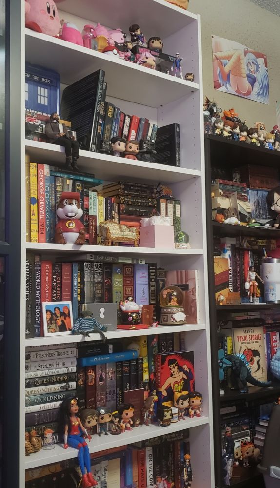 Two bookshelves with various figures and full of books