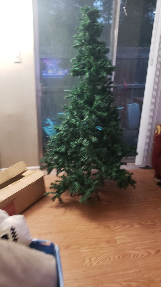 A naked Christmas tree