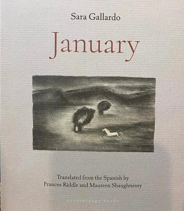 Cover of the novel January by Sara Gallardo. A pen-and-ink drawing of a white horse galloping across a desolate plain. There are two ominous looking trees in the foreground, mountains in the distance.