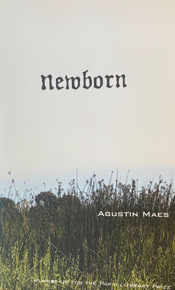 The cover of the book Newborn by Augustin Maes. Wildflowers growing along a riverbank are in the foreground, hazy white background.