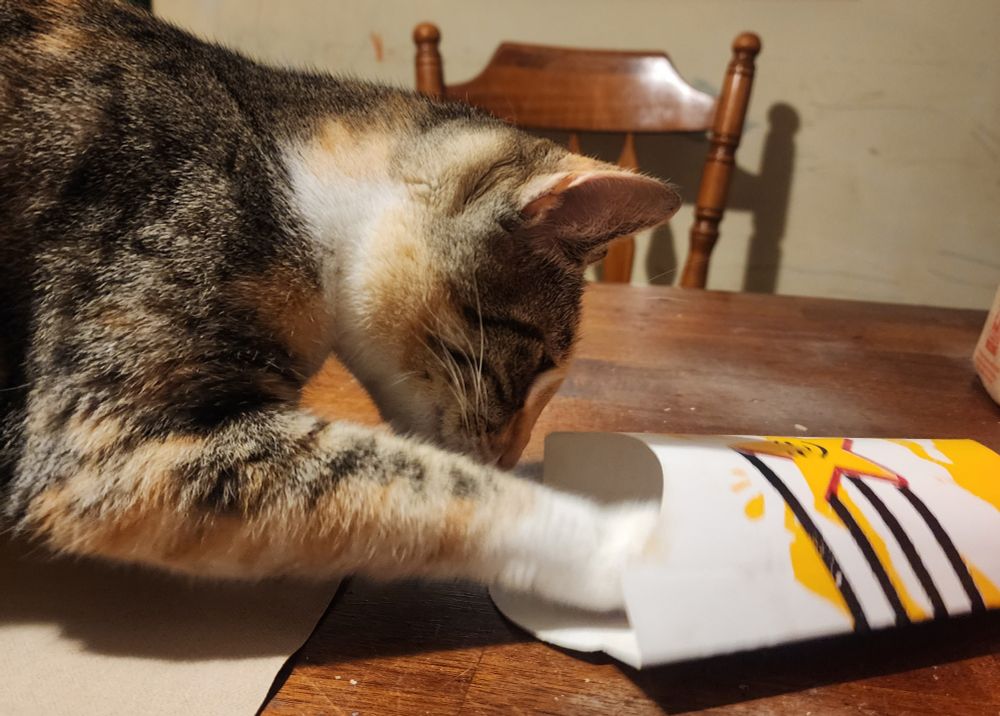 A cat pulling french fries out of the fast food container 