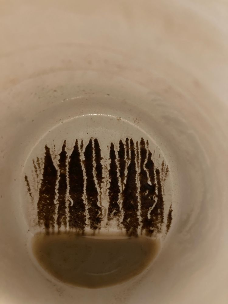 Coffee grounds in a mug looking like a forest path