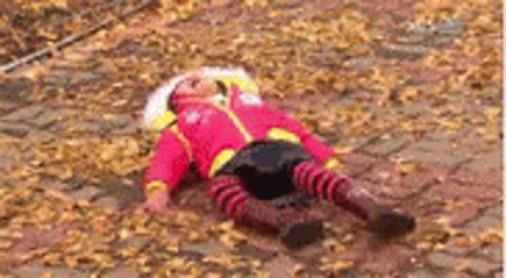 a little girl is laying on the ground in leaves .