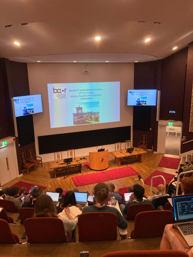A busy conference auditorium awaits the first speaker.