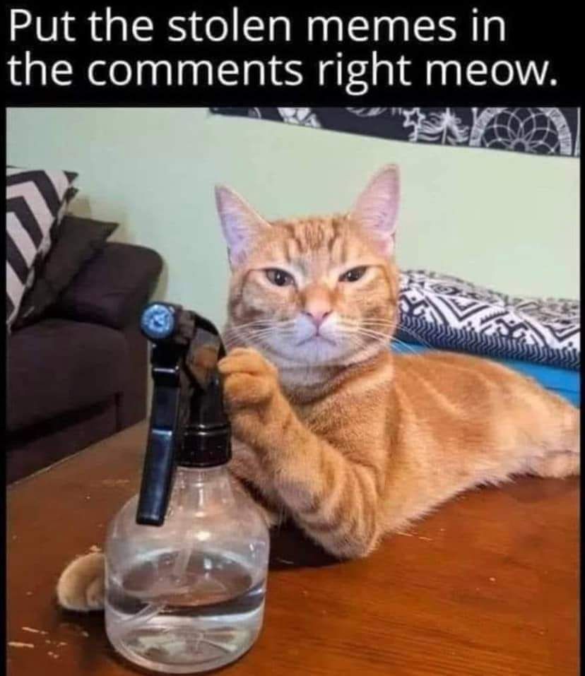An orange/whi kitty holding a spray bottle pointed at you! 
Put the stolen memes in the comments right meow!