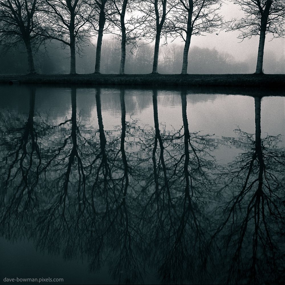 A photograph of winter trees with bare branches quietly reflected in the still waters of a pond on a misty day in Wilhelminapark, Rijswijk, Netherlands. The soft fog blurs the edges of the branches, creating a serene and dreamlike atmosphere in this peaceful park setting. The image is monochrome, emphasising the quiet mood.