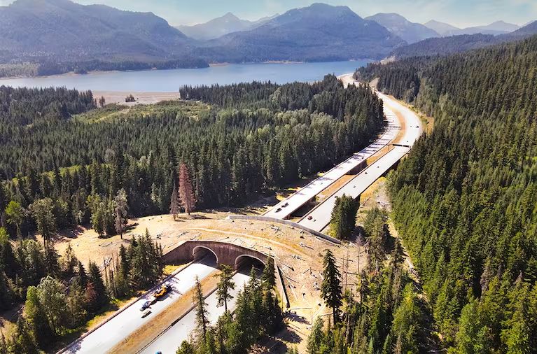 A large wildlife overpass crosses I-90 at Snoqualmie Pass in the Cascades mountains, Washington State, USA. 