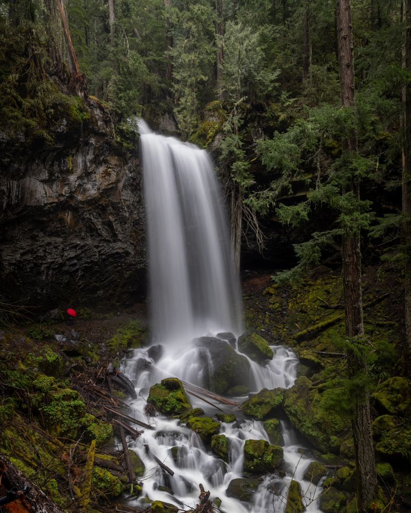 A silky smooth waterfall in a dark mossy green forest. 
