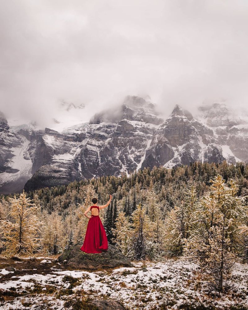 The jagged Canadian Rockies with a fresh coat of snow behind a field of larch trees and Roux in her red dress