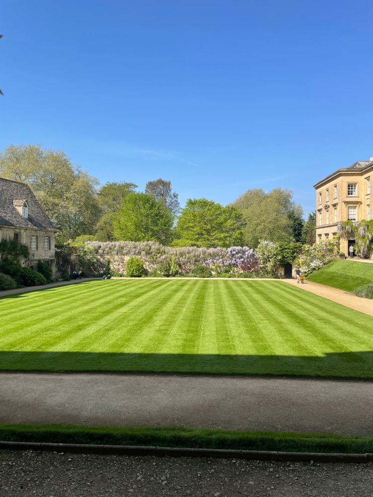 Wisteria across an Oxford quad