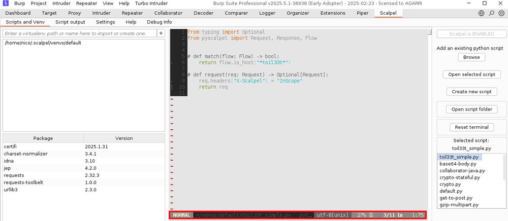 Screenshot of the Scalpel script editor using the local `vim` binary