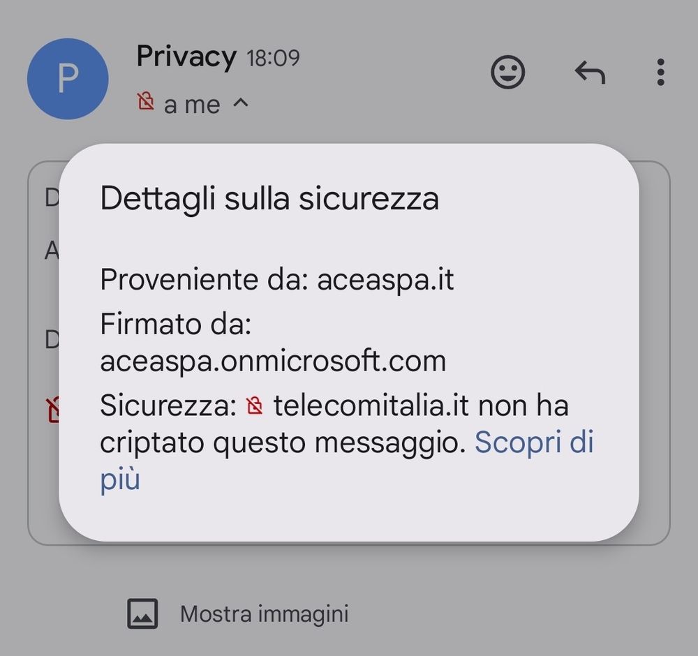 Screenshot della notifica Gmail che visualizza "Dettagli di sicurezza" della e-mail, indicando che il messaggio proviene da aceaspa.it e firmato da aceaspa.onmicrosoft.com. Precisa che telecomitalia.it non ha criptato il messaggio.