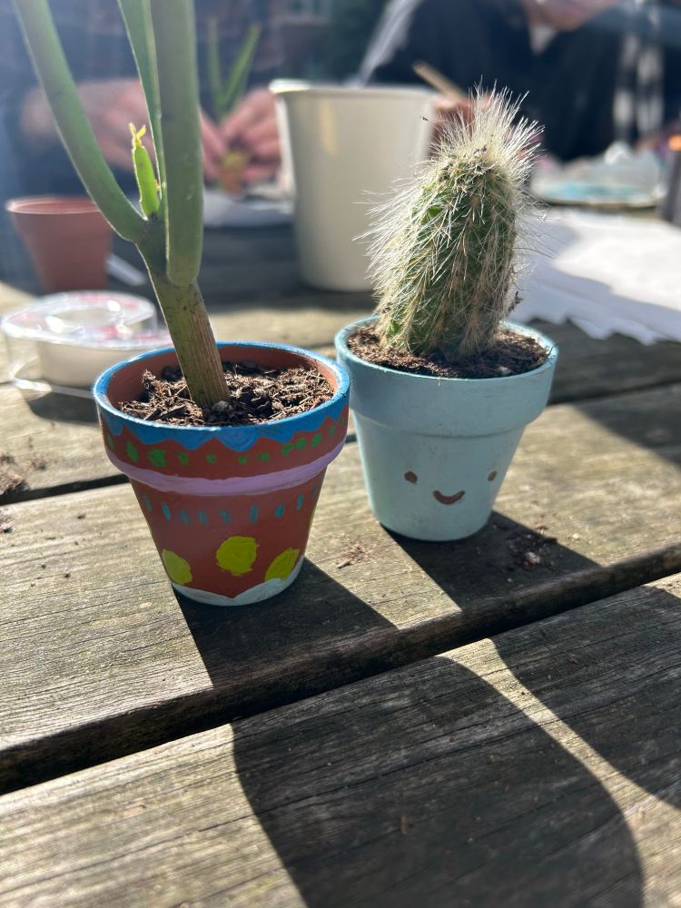 Two painted pots, one with abstract designs holding a pencil cactus, another with a smiley face holding a spiky cactus. 