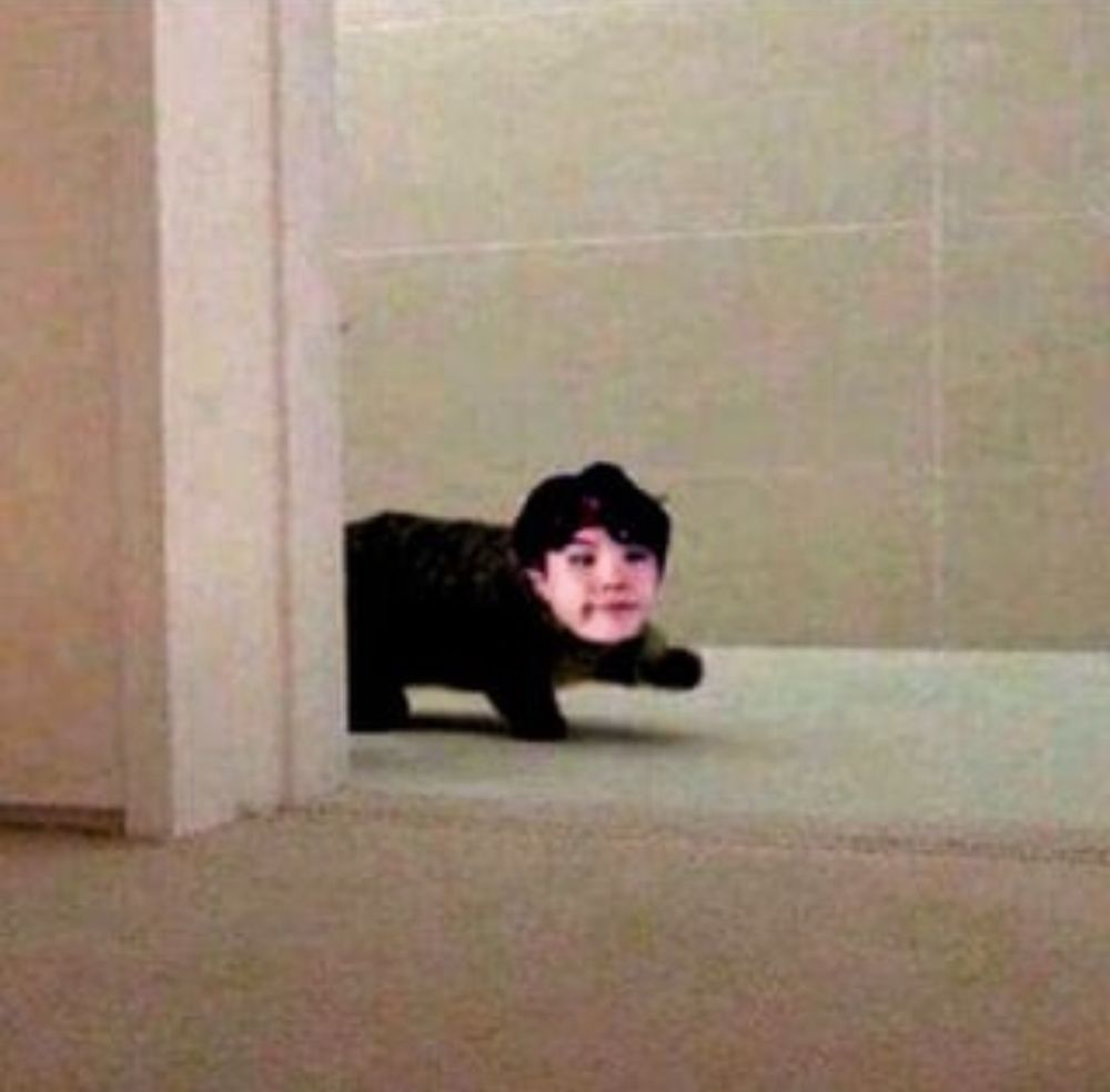 Lighthearted photo edit of a black kitten with BTS SUGA's face walking into a room
