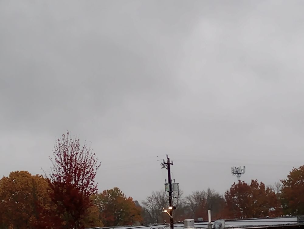 Rain clouds in the sky, trees covered in autumn-colored leaves, and a street light turned on, in Seattle.